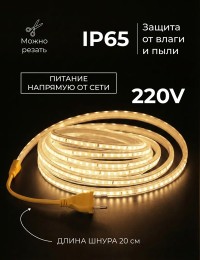 Светодиодная лента 220V IP65 SR-2835-120D-WW теплый белый