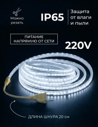 Светодиодная лента 220V IP65 SR-2835-120D-CW холодный белый